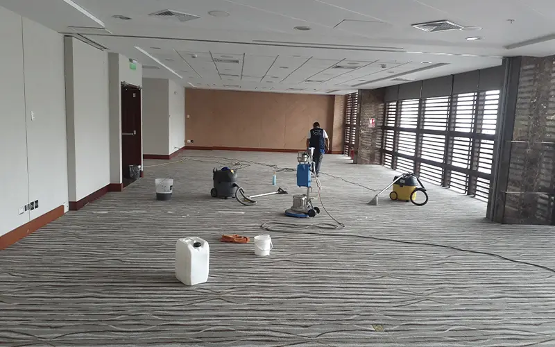 Limpieza de Instituciones